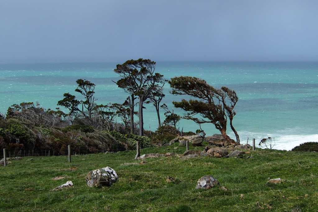 新西兰南岛自然景致图片