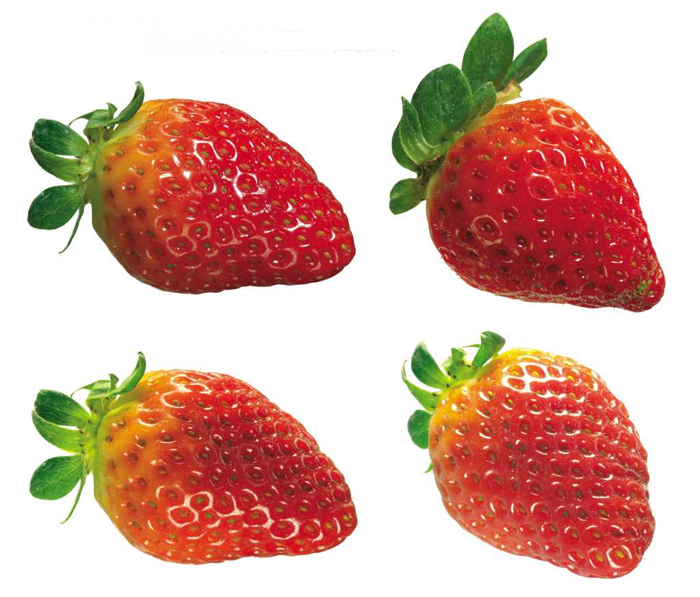 新鲜的四颗草莓图片