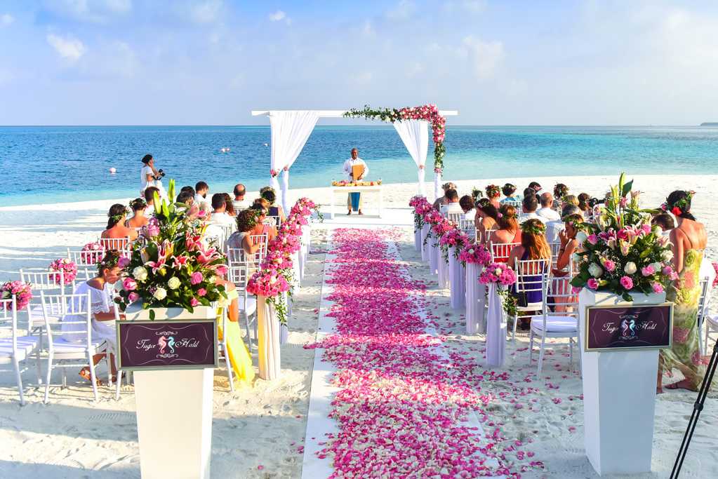 海滨上的婚礼图片