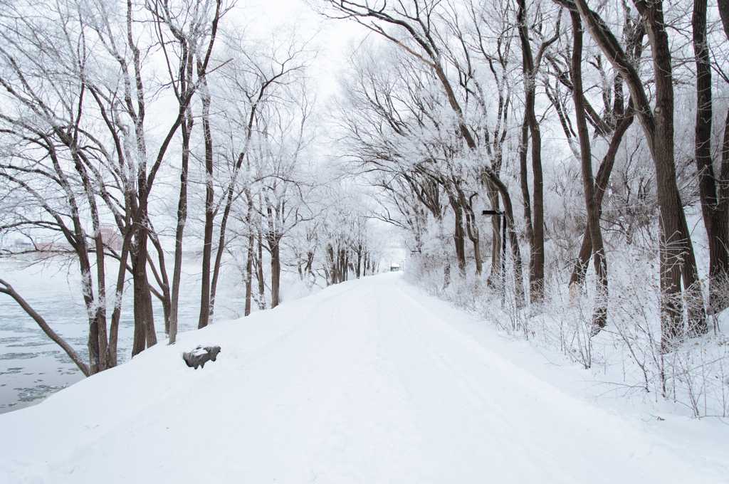冬天道路雪景图片
