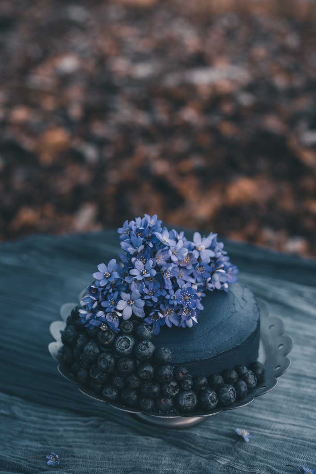 蓝莓水果花卉蛋糕图片