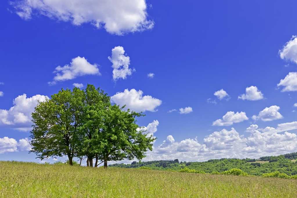 蓝天云彩树木图片