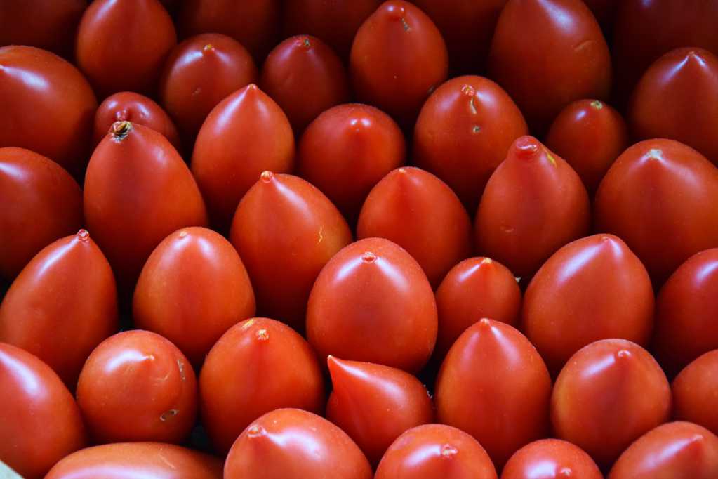 成熟的小西红柿图片