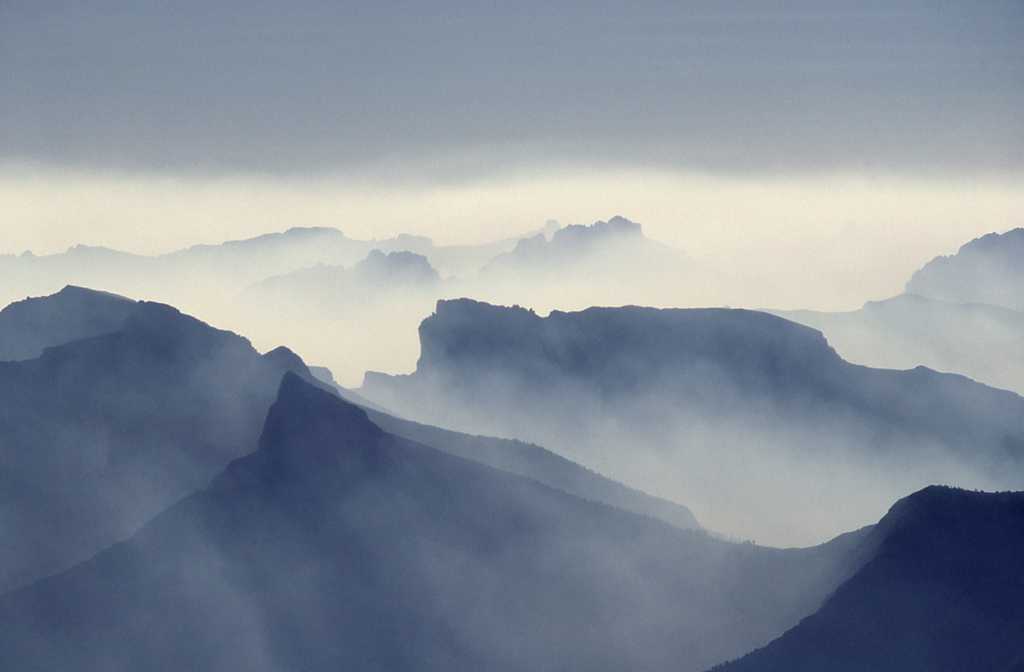 多雾的山和茂密的树林图片