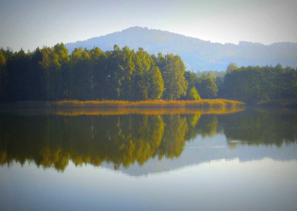 秋日自然河流图片