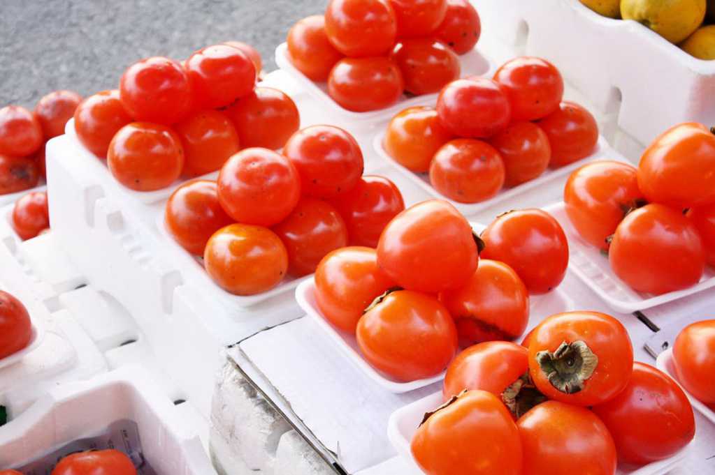 新鲜的小番茄图片