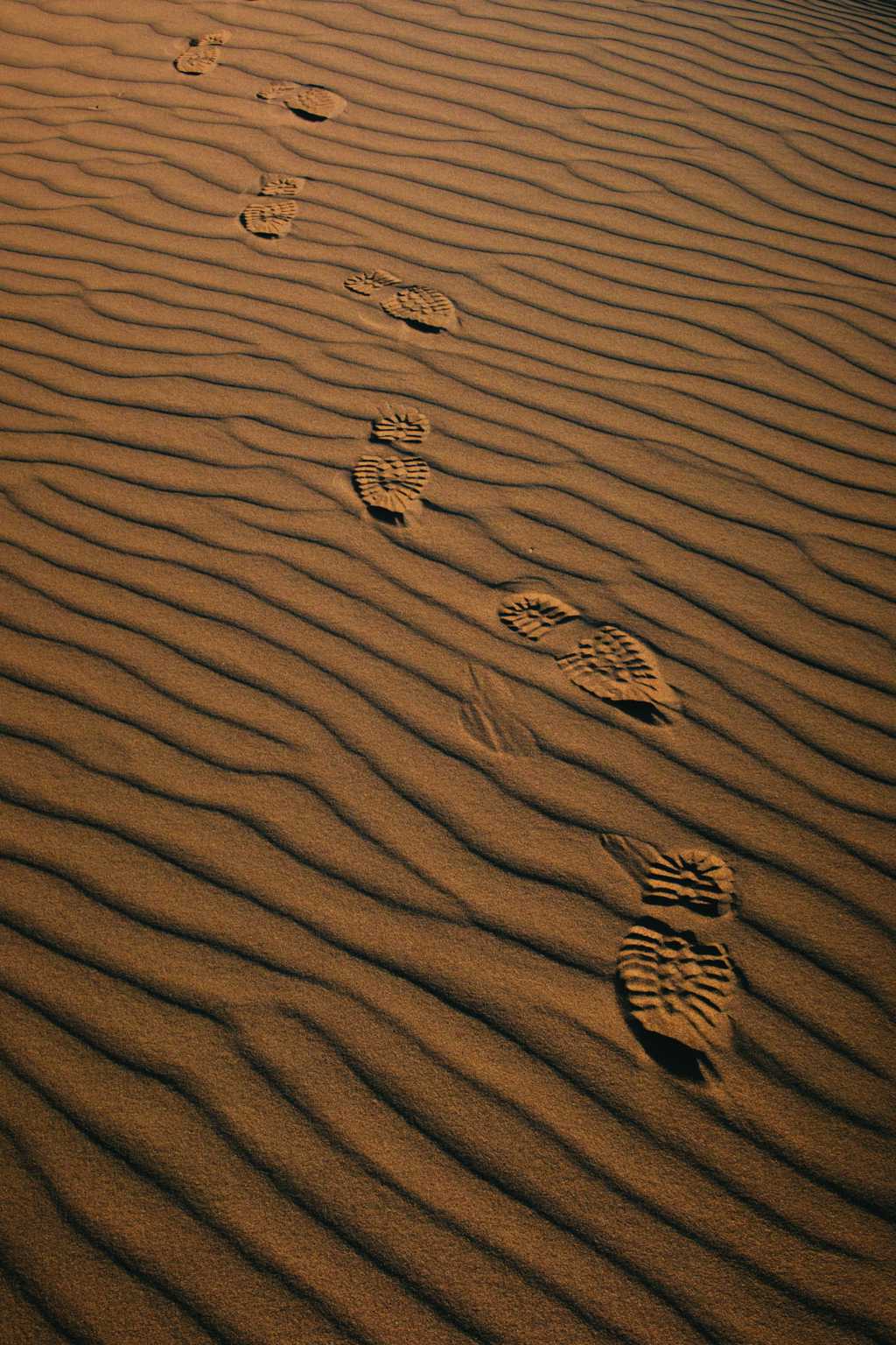 大漠上脚印图片