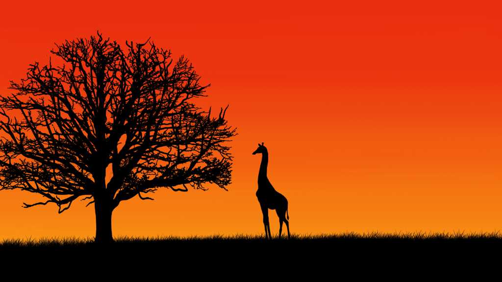 落日下的长颈鹿图片