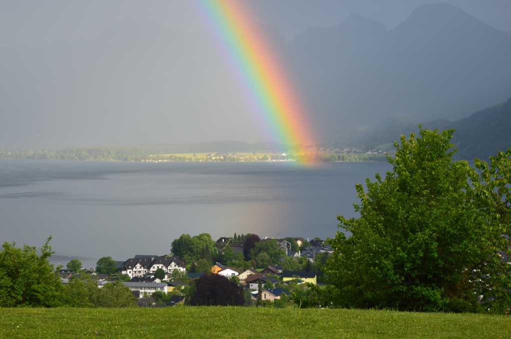 草坪上的彩虹图片