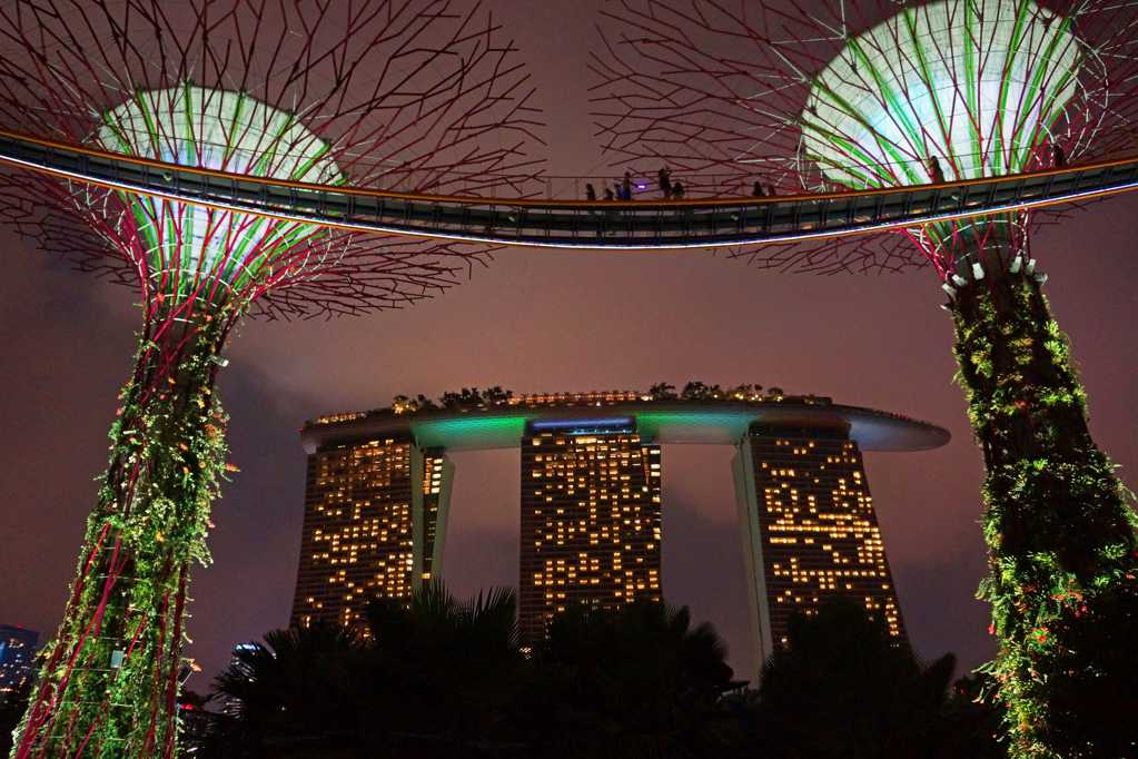 新加坡滨海湾花园光景图片