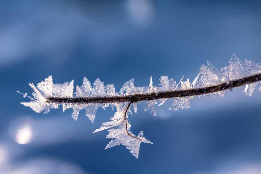 冬天透亮冰冷的冰晶图片