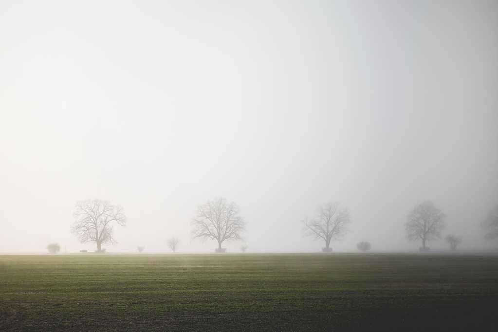 田野的大雾景色图片