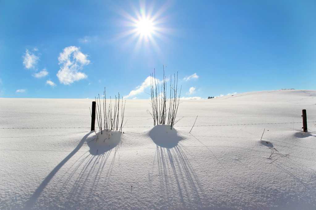 暖冬雪地景色图片