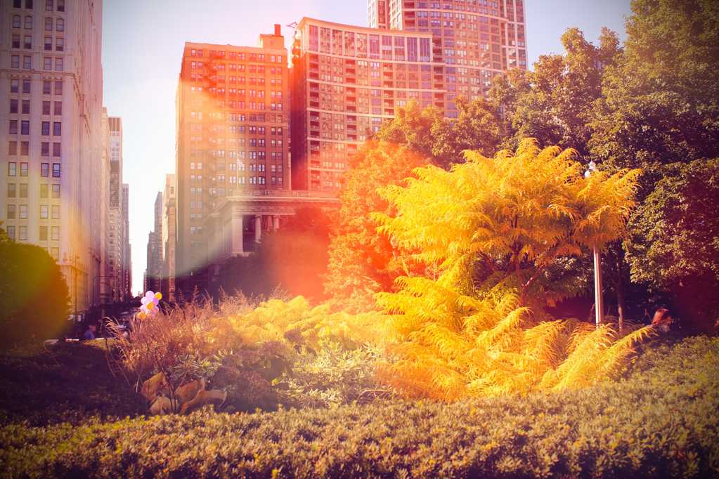 唯美城市秋天景色图片