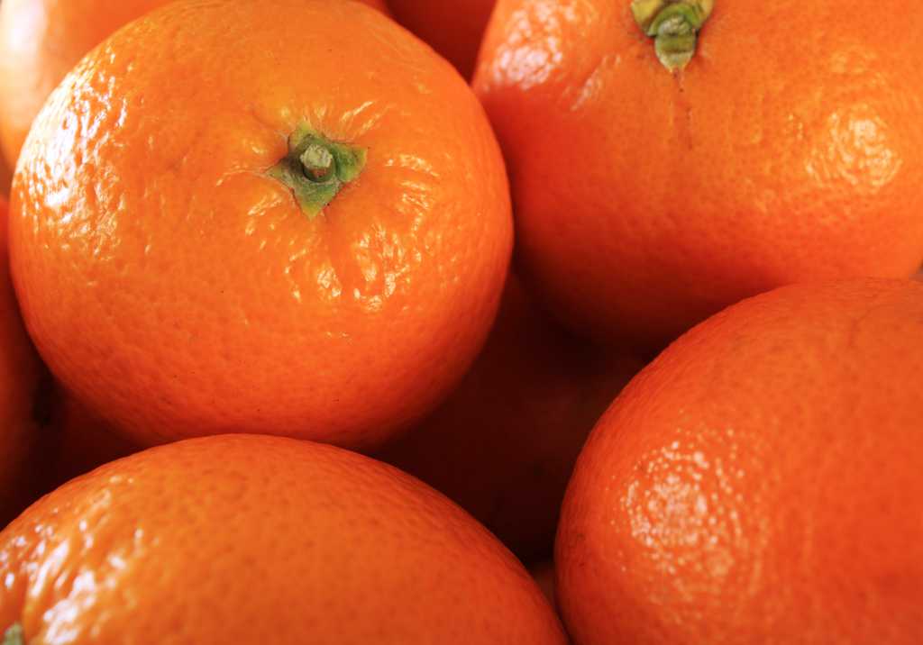 柑橘类水果图片