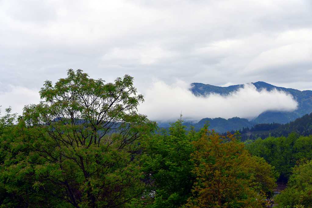 福建武夷山景象图片
