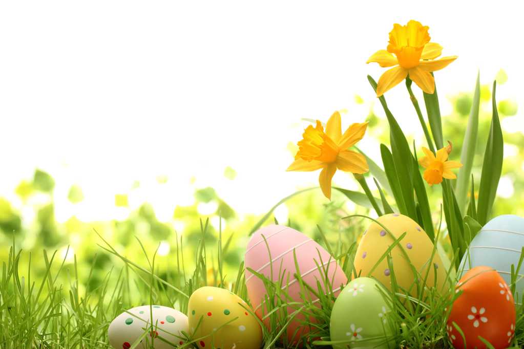 复活节的彩蛋图片