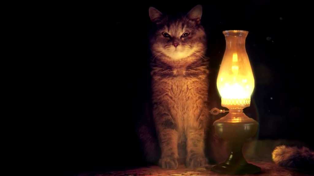夜灯与猫咪图片