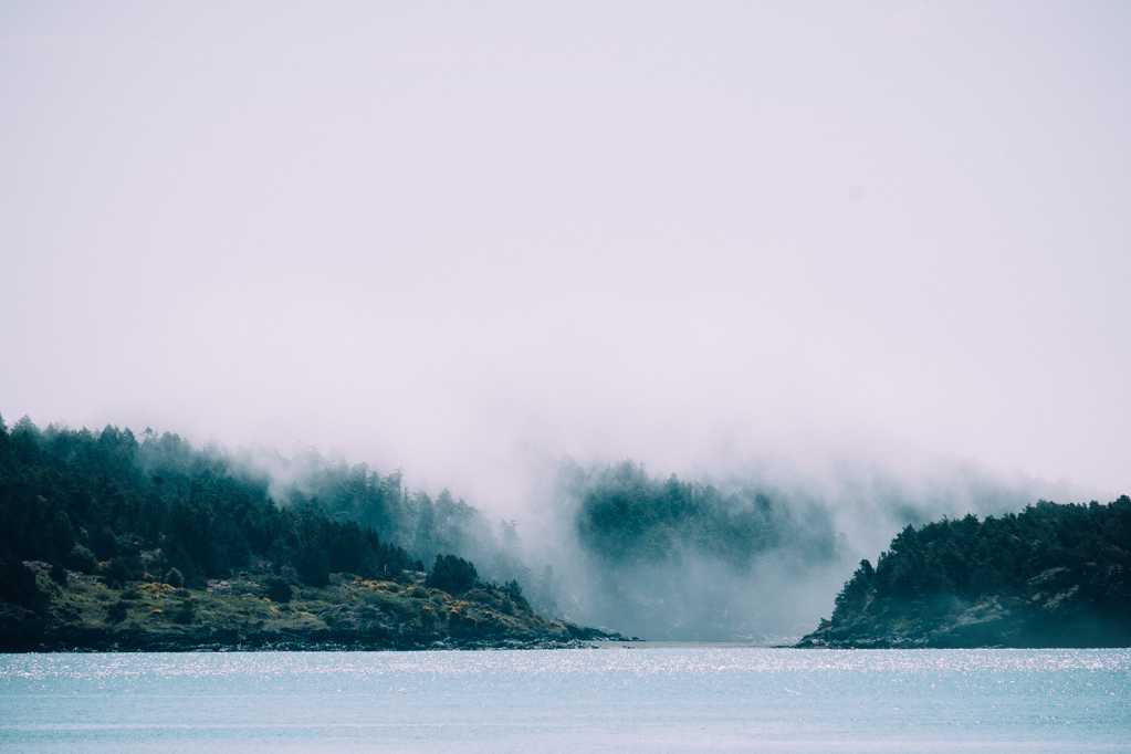 大雾树林湖泊河图片