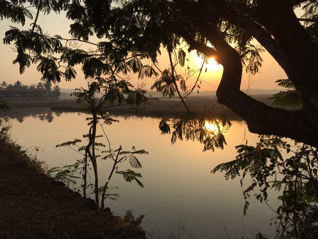 标签树木夕阳湖泊落日风景简介分享一张夕阳下的湖面图片,喜欢的朋友