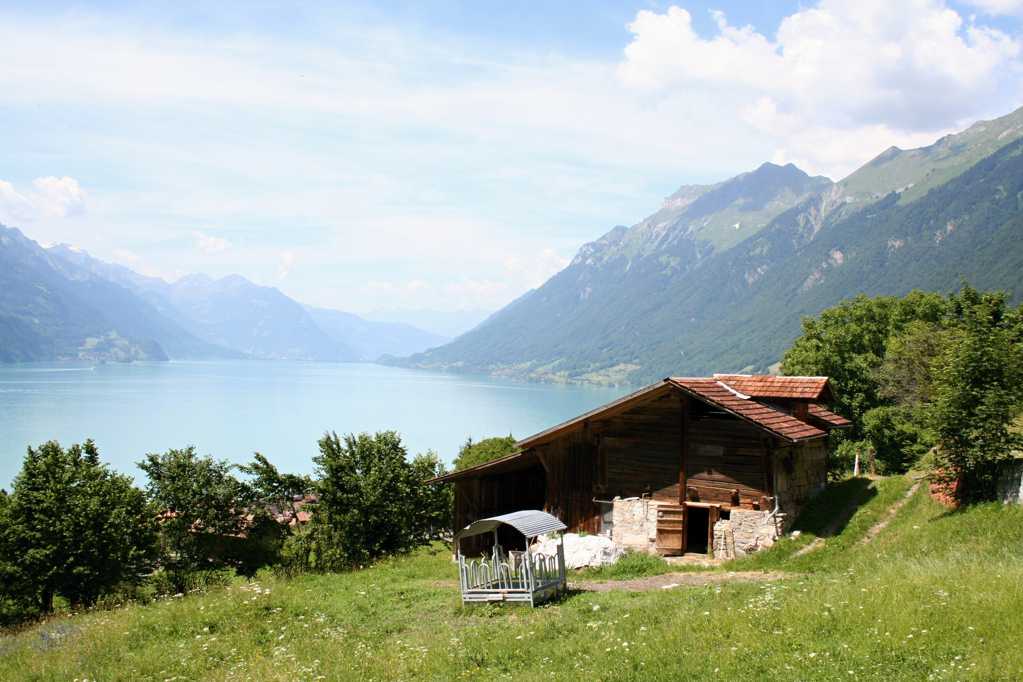瑞士伯尔尼建筑自然风光图片
