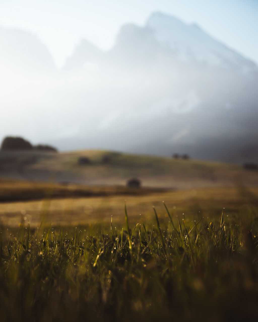 雾色朦胧的草原图片
