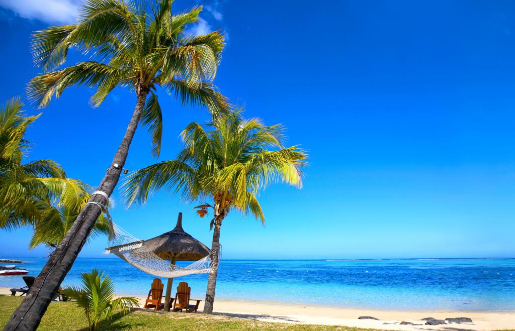 Wallpaper棕榈树,天堂,度假,岸,棕榈树,阳光,沙滩,沙滩,海,吊床,夏天,热带,海滩,海,...