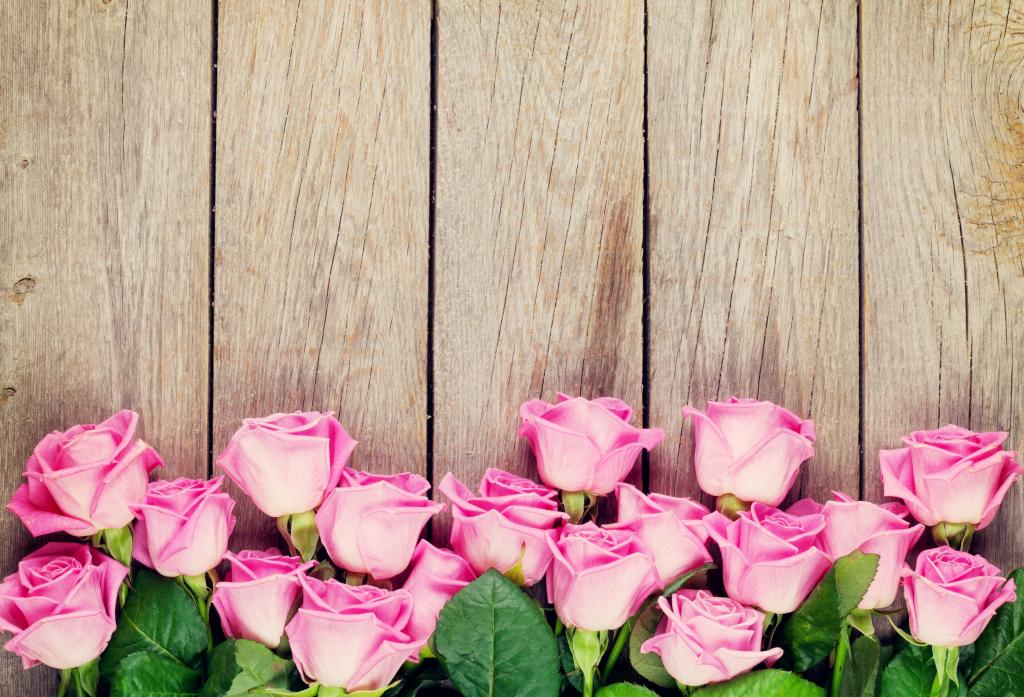 浪漫,玫瑰,玫瑰,木,粉红玫瑰,粉红
