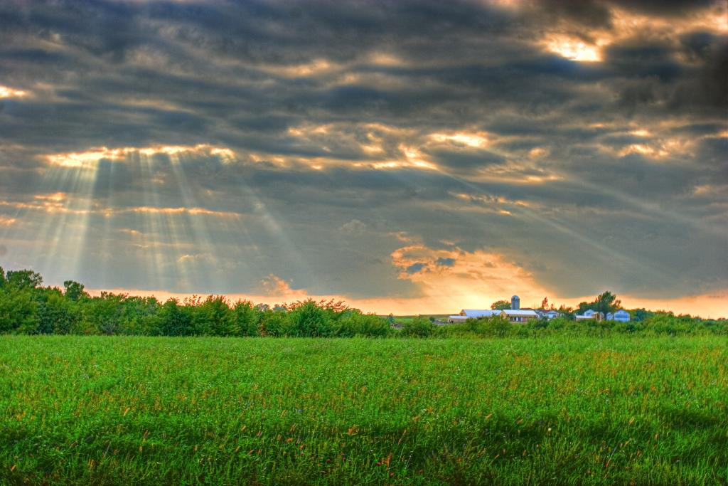 在黄金时间,威斯康星州高清壁纸的积云层云下的绿色牧场风景摄影