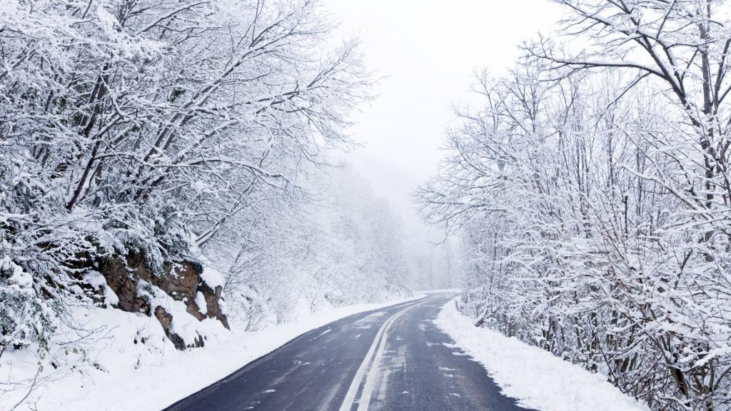 壁纸道路,树木,雪,冬天