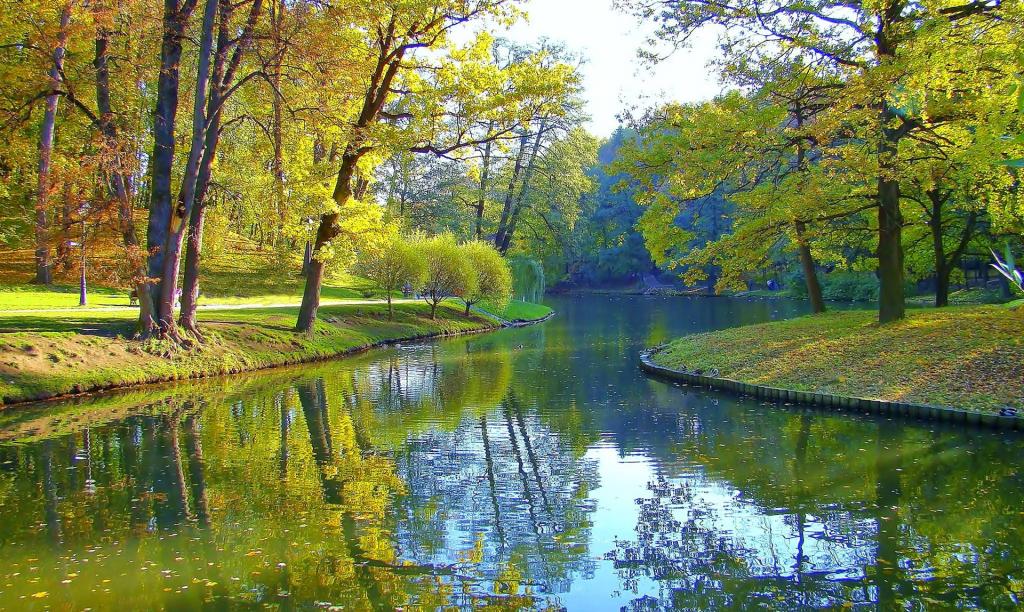 壁纸秋天,树木,公园,池塘