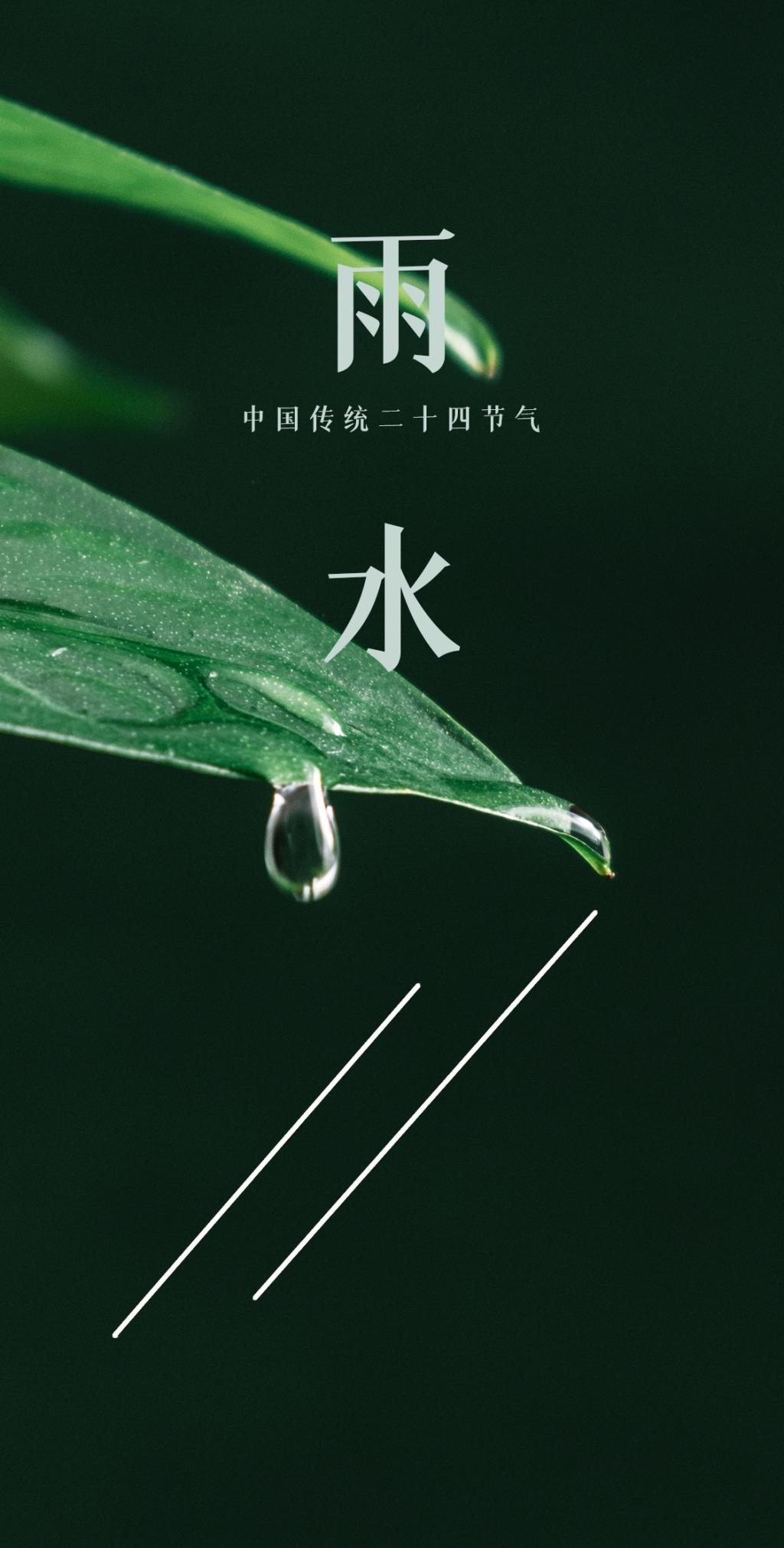 中国传统二十四节气雨水