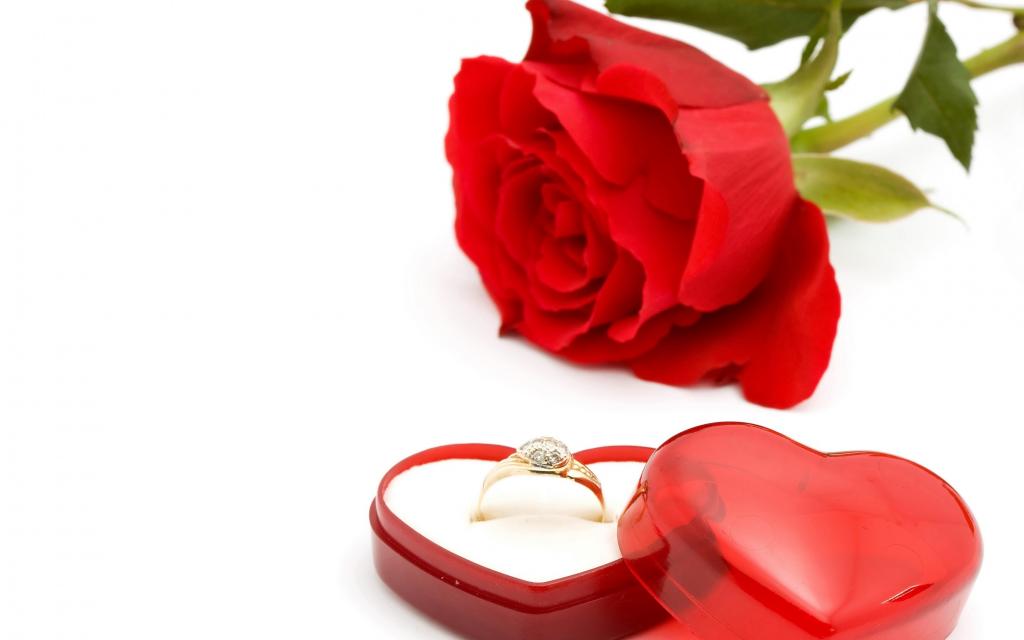 鲜花,框,浪漫,红色,浪漫,玫瑰,戒指,婚礼,婚礼