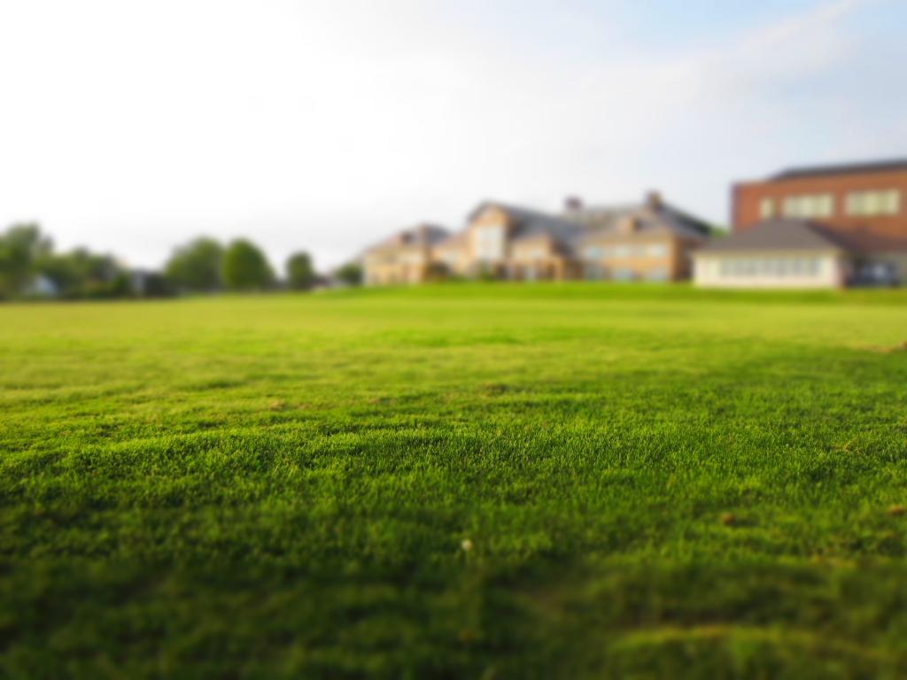 草,草地,房地产,草坪高清壁纸