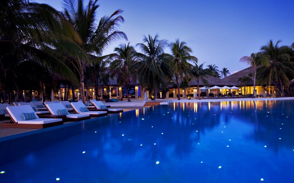 棕榈树,树木,马尔代夫,马尔代夫,酒店,晚上,维拉沙鲁,游泳池,日光躺椅
