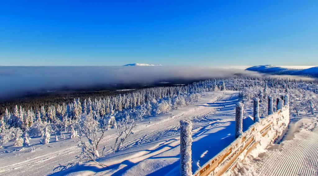 雪,山,冬天,树木,栅栏,云,天空,地平线,森林