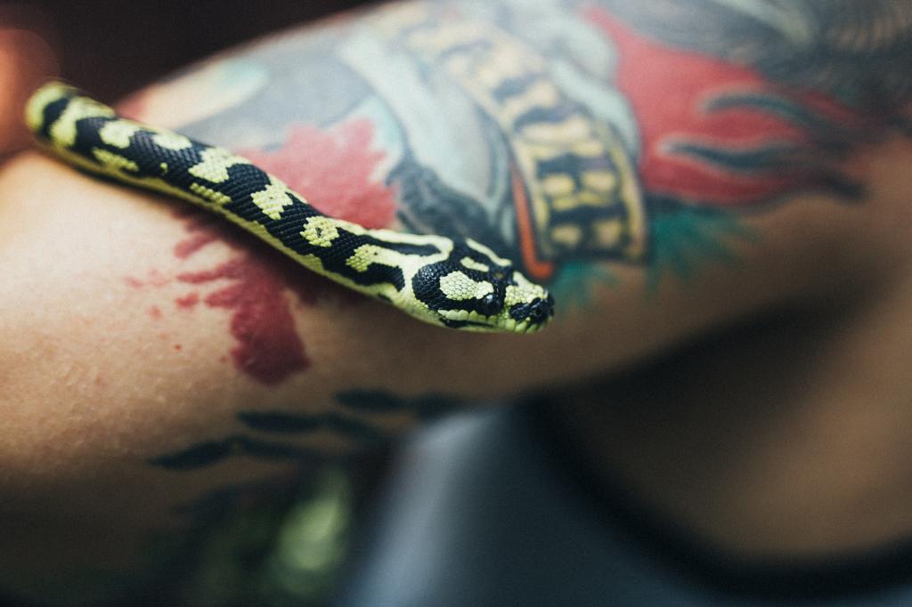 蛇,手,纹身,体重秤