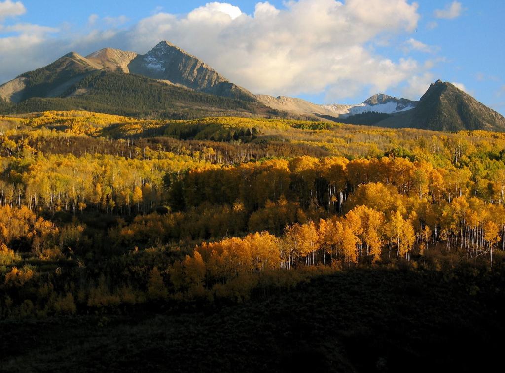 绿色和黄色叶子树的山风景摄影在山HD墙纸的距离