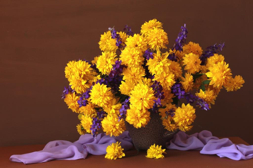 黄金菊,花束,织物