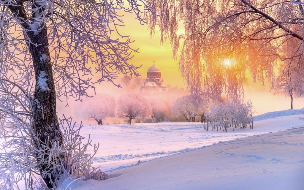 太阳,寺庙,俄罗斯,树木,自然,霜,冬天,雪,光