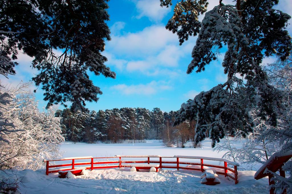 公园,雪,冬天,树,长凳,太阳,天空,树枝