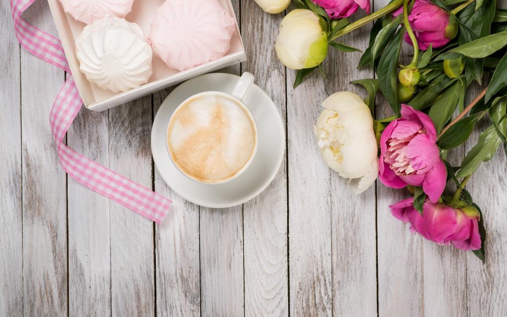 棉花糖,情人节那天,牡丹,粉红色,浪漫,咖啡,芽,牡丹,鲜花