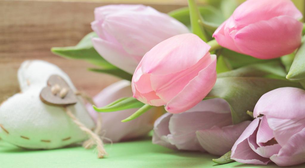 绿色的桌子上的粉红色郁金香花束高清壁纸