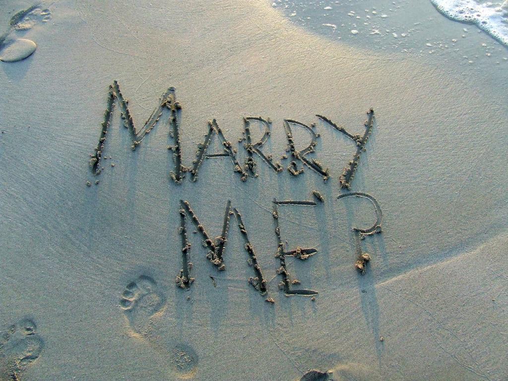 嫁给我 ？