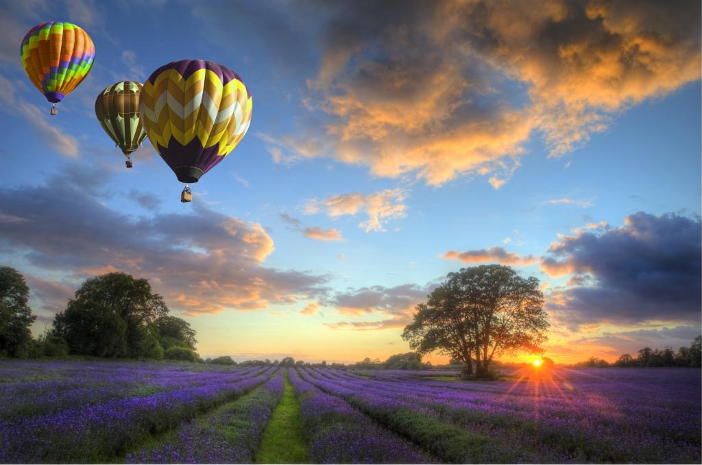 壁纸气球,鲜花,性质,场,云,天空,风景,日落