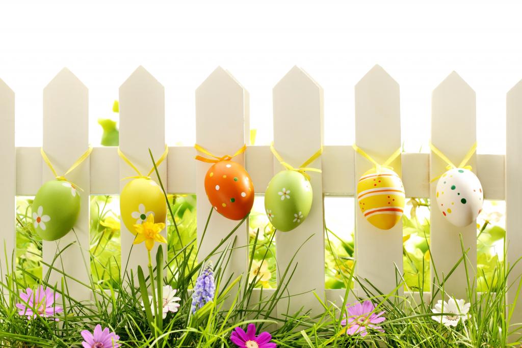 鲜花,复活节,鸡蛋,性质,草,春天