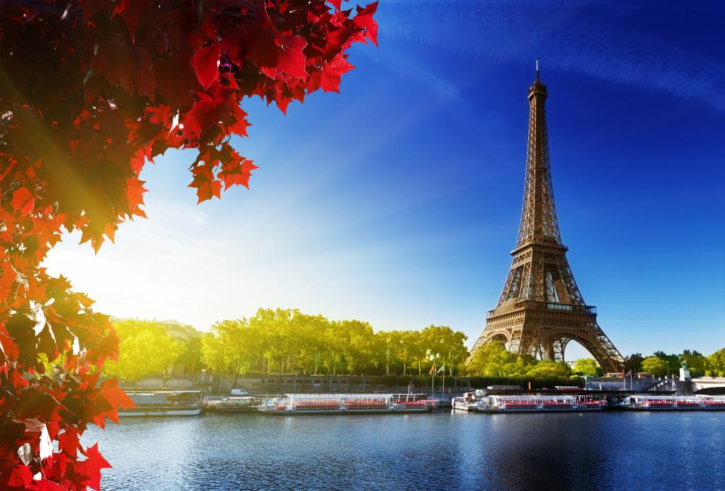 干草,红色,法国,法国,树木,巴黎,拉埃菲尔铁塔,埃菲尔铁塔,叶子,巴黎,秋天,埃菲尔...