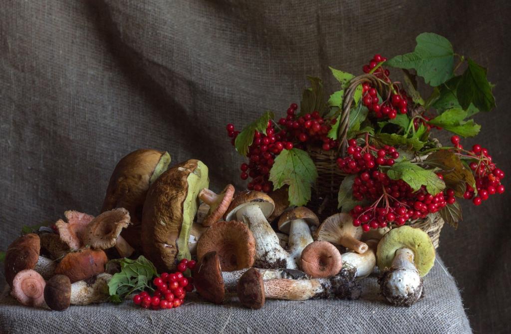 浆果,蘑菇,秋天,卡林纳