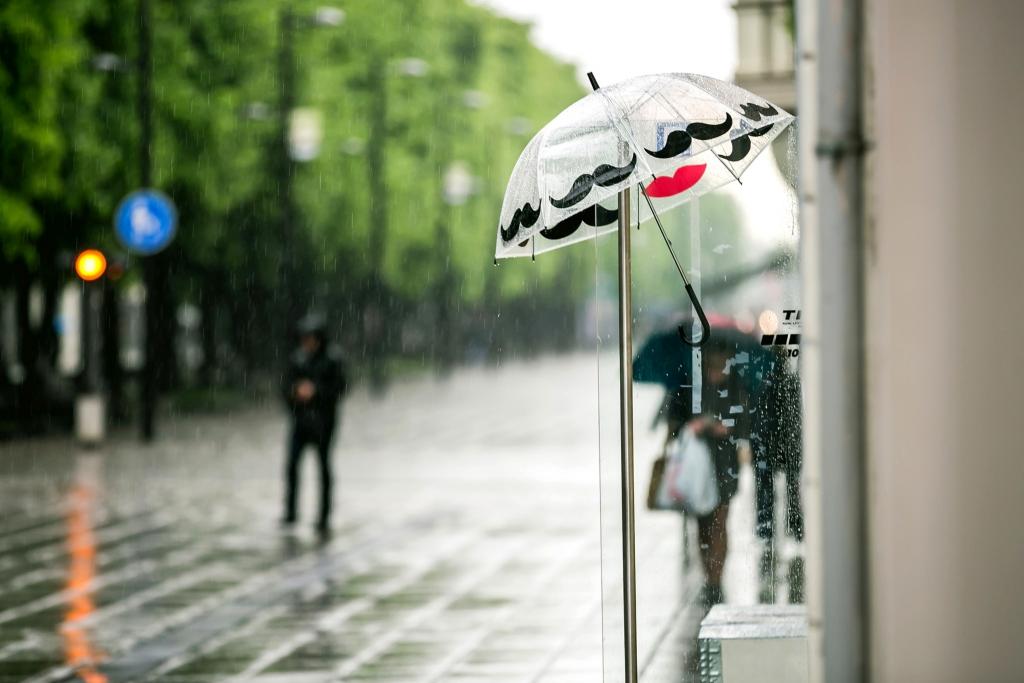 伞,商店,人,雨伞,雨,城市,街道,路人