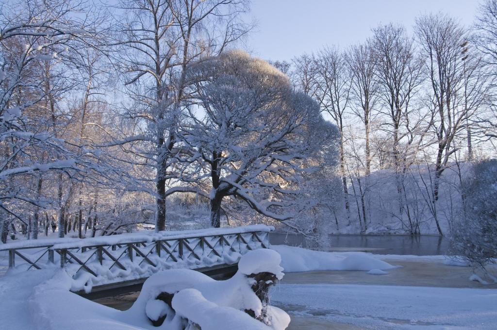 公园,霜,雪,桥,冬天,性质